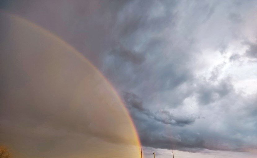  ������ ����������� ���� ���� ������ ����� ������� 