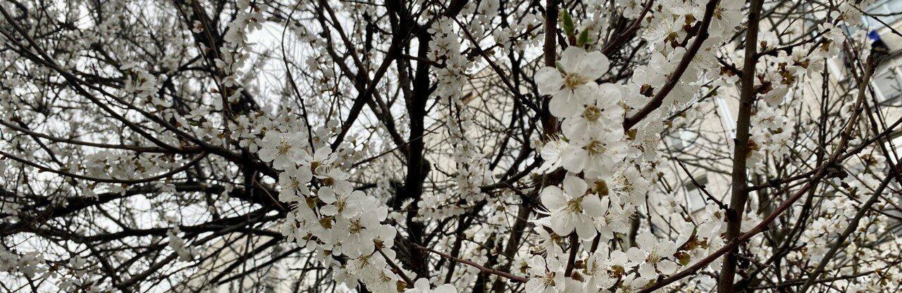 ����: 056.ua