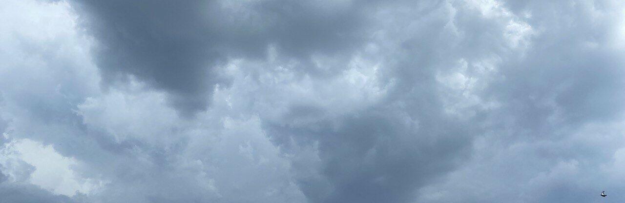  ���������������� ���������� ������ ������������ ������ ����� ��������� ��� 