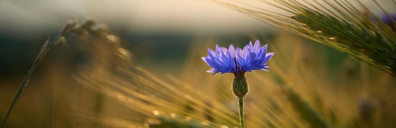  ���� ����� ��������� ��� ������� ���� �������� ���������������� 