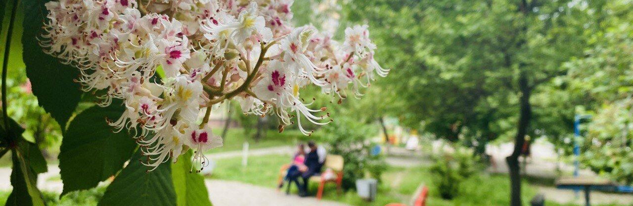  ������ ����������� ����� ��������� ����� ���� ���� ������ 