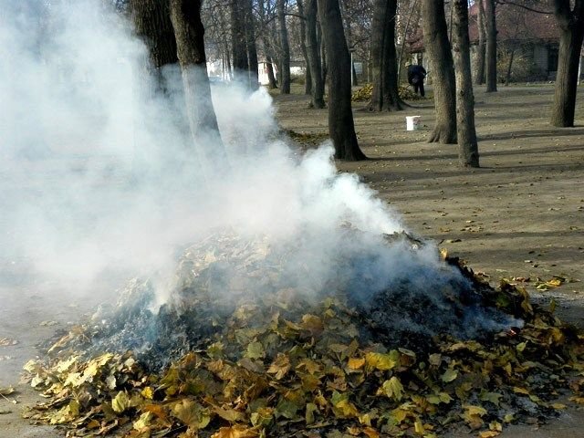  ��볿 ����� ������ ��������� ������ �� ������������ ���� 