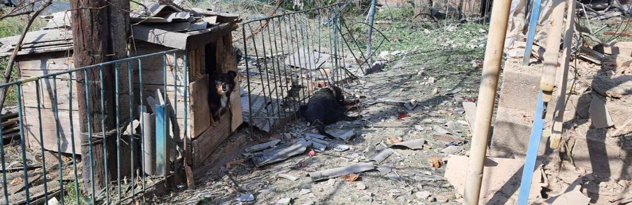  �������� ����������� ������ ����� �������� �������� ���������������� ������ 