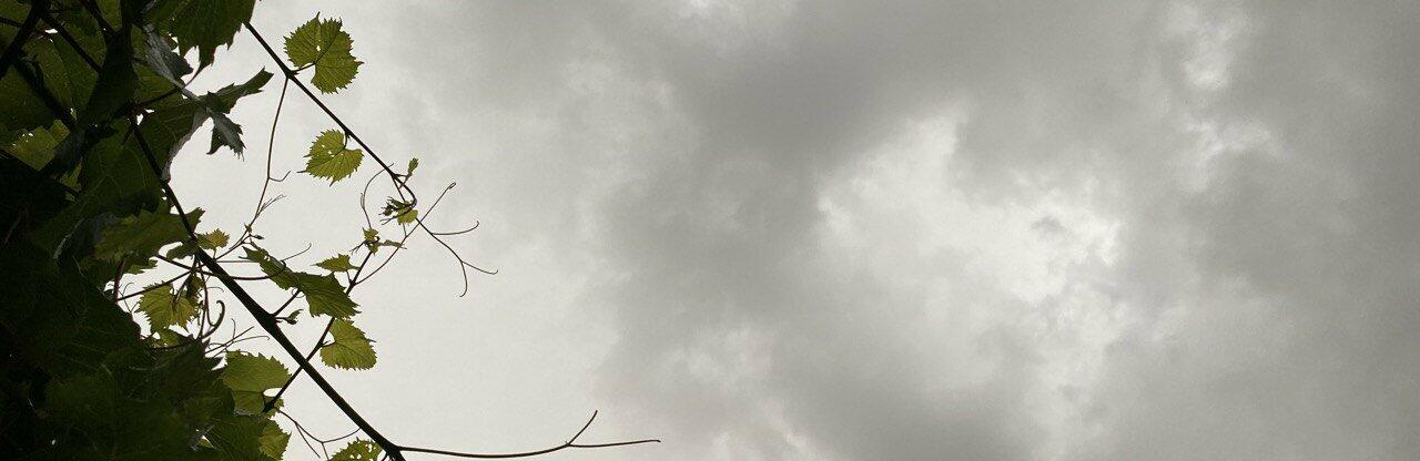  ���������������� �������� ��� ����� ��������� ���� ���� ���� 