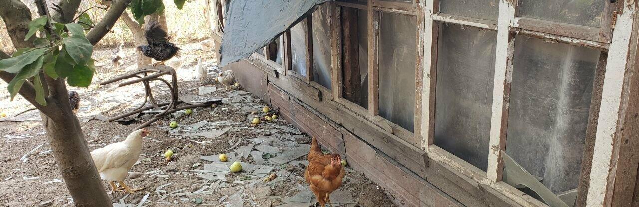  ������� ����������� ��������� ������������ �������� ���������������� ������ ����� 