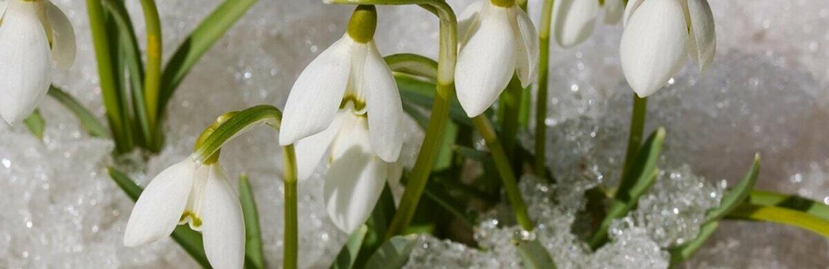  ������ ��������� ��� ������ ������ ������� ������ ������� 