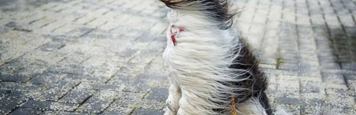 ����: 056.ua