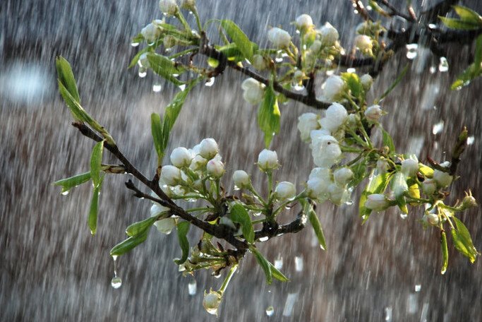  ������ ����� ����� ������ ������ ������� ������ ����� 