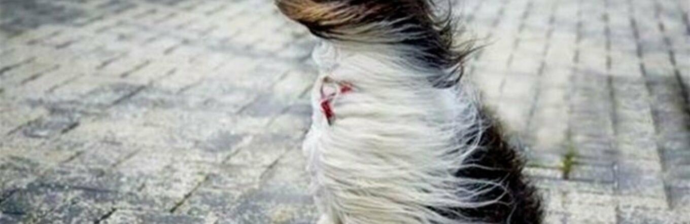 ����: 056.ua