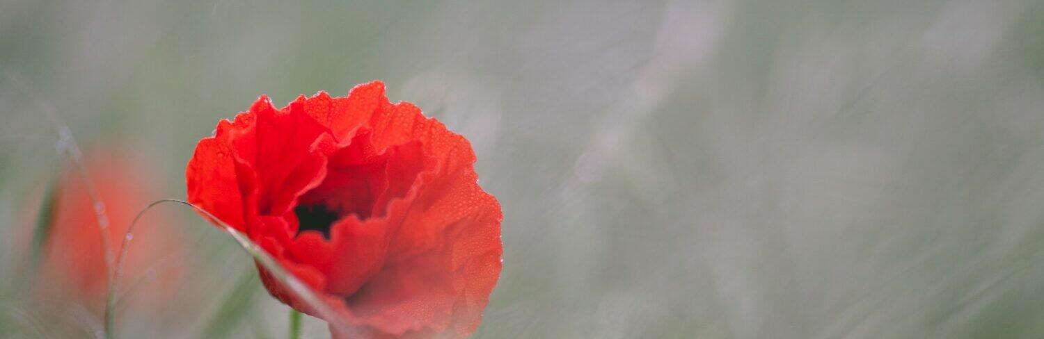  �������� ���� ������ 2024 ��������� ������ �������� ������� 