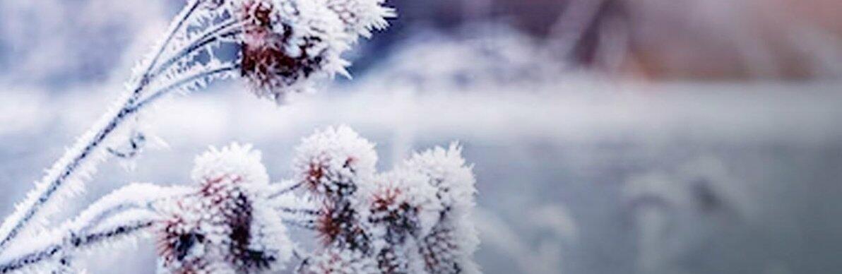 ����: 056.ua