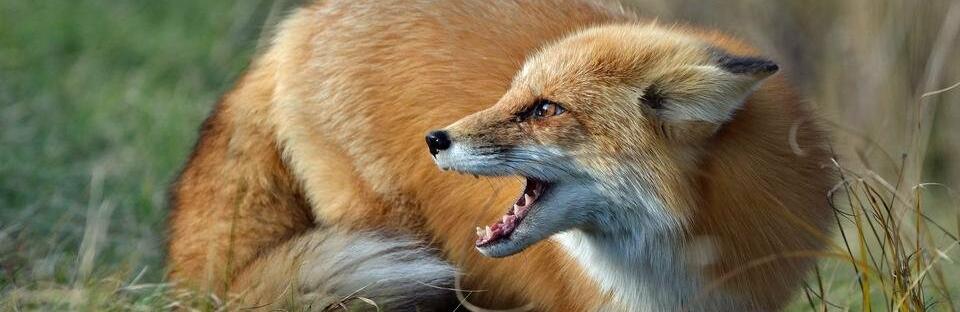  ���������������� ������ ������ ������� ������� ����� ������� 