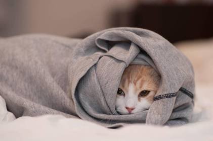  ����� ����� ����� ���� ������ �� ������ ��������� 