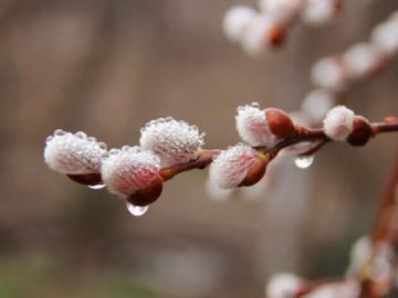  ����� ��������� ��������� ��� ������� ������ ������� 