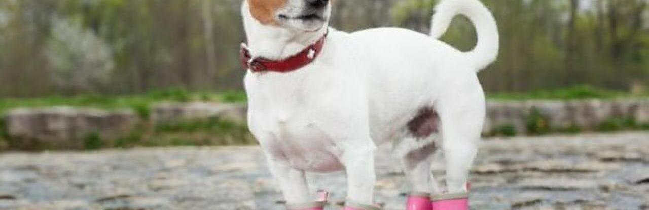 ����: 056.ua