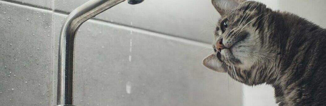  ����������� ����� ��� �������� ����� ����� �������� �������� 