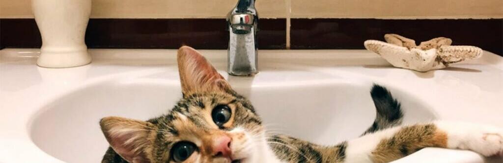  ����� ������ ������� �������� ����� ������ ����� 