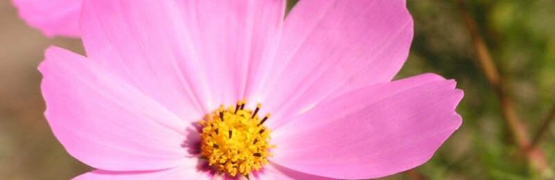  ���������� ���� ������ ������� ������� ������ ����� 