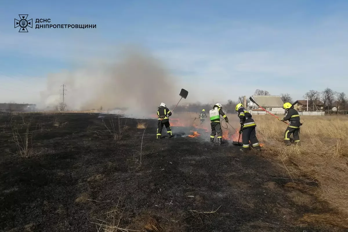  ���������������� �������� ���� ��������� ����� ����������� 