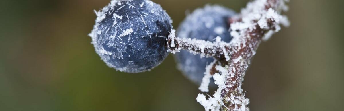  ������ ���������� ��������� ������ ��������� ������� ������ ������ 