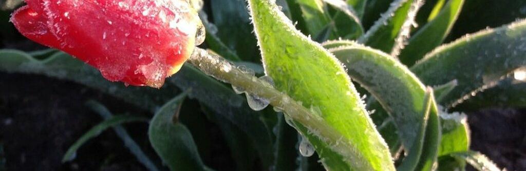 ����: 056.ua