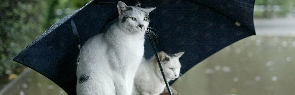  ������ ��������� ������ ������ ����������� ������ ������� ������ 