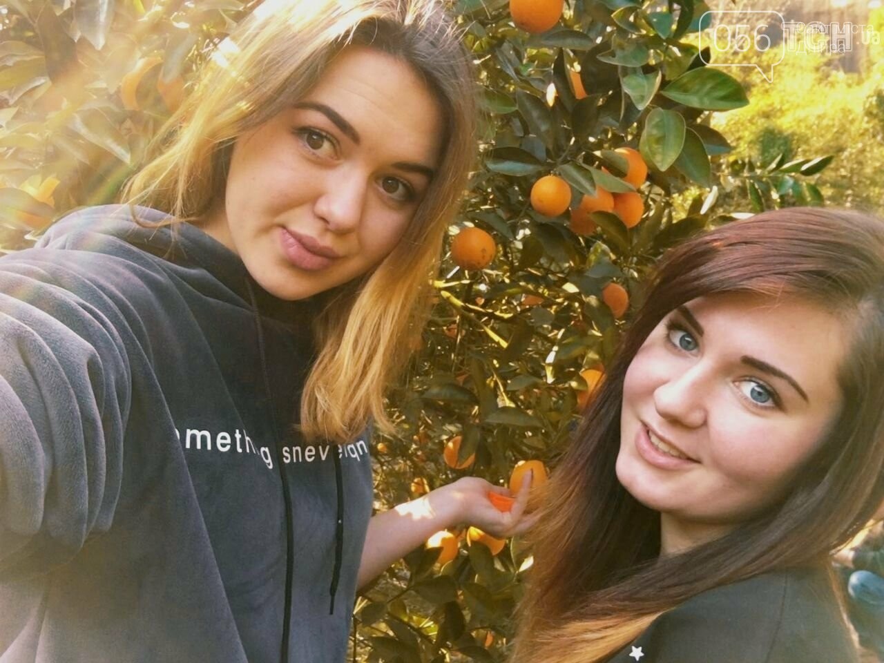  ������� ���������������� ������� ��������� ������ ��������������� ��������� 