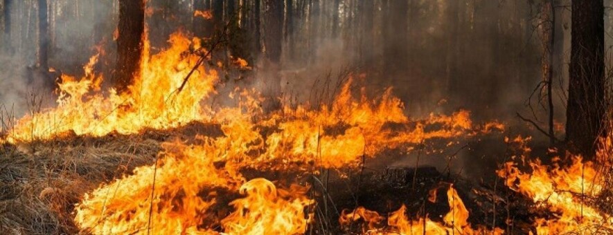  ����� ���������������� ��������� 100 ������� 