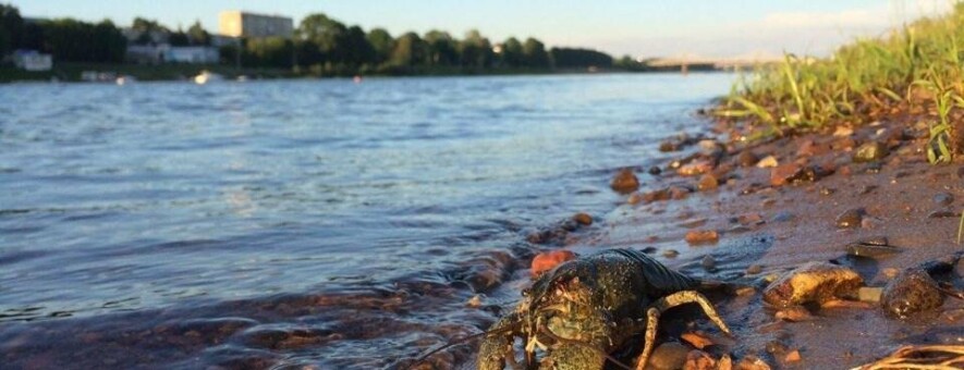 ����: 056.ua