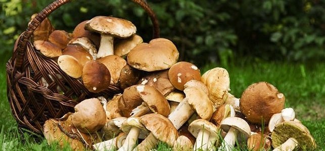  ��������� ���������� �������� �������� ����� ���������� 