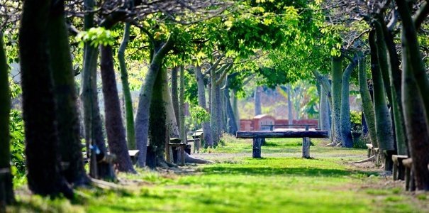  ���������� ������ ��������� ������ 100 ��������� 