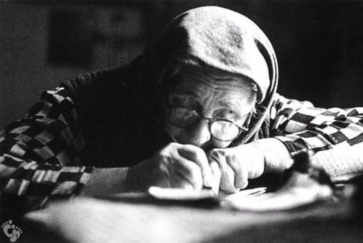  �������� ����� ������� 2500 �������� ������ ���������������� ������� 