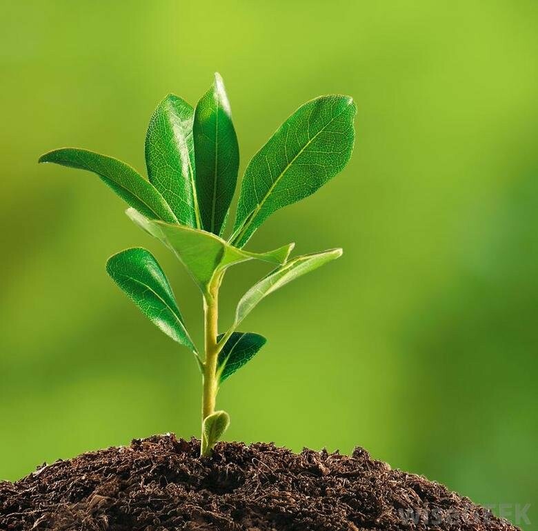  ������� ����� ������ ��������� ������� ����� ������������� ����� 