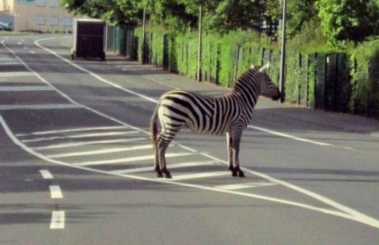  ������ ������� ������� �������� ������������ �������� ������� ������ 