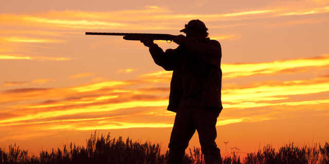  ���������������� ��������� �������� ������ ���������� ��������� ������� 