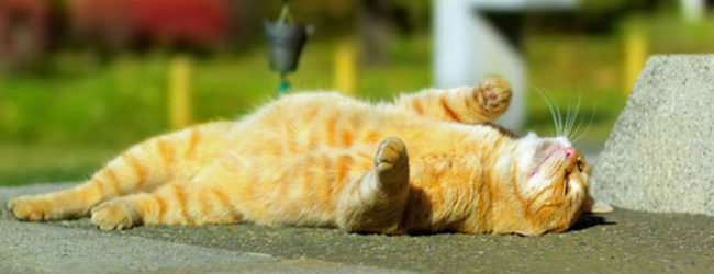  ������ ������ ����� ��������� 