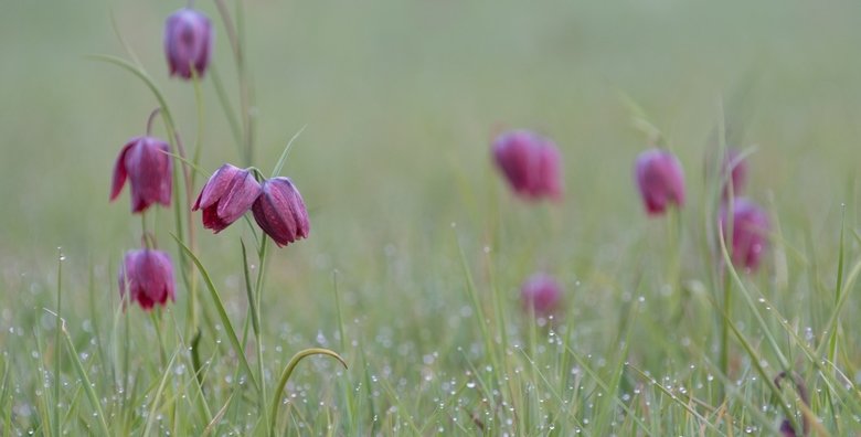 ����: 056.ua