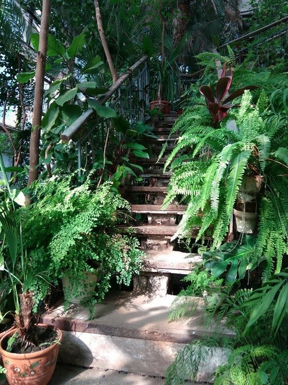  ������ ������� ���� ����� ������������ ���� 