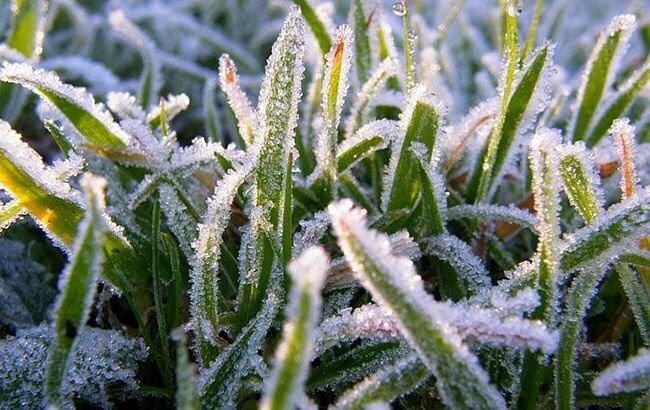 ����: 056.ua