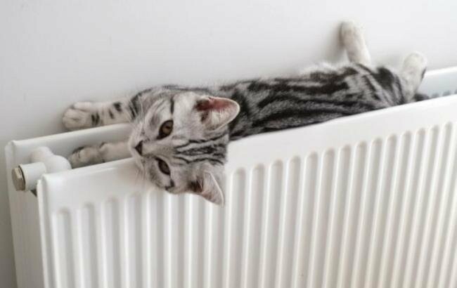  ������ ������� ��������� ����� ����� ������������� ������ 