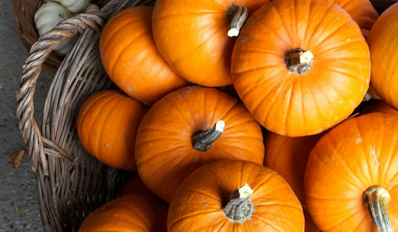  ���������� ����� ������ ����� ������ ������ 