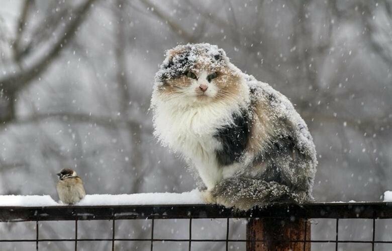 ����: 056.ua