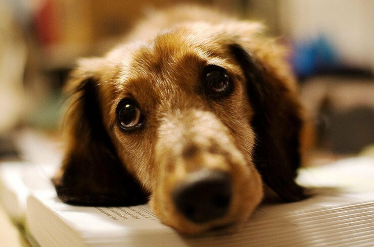  ������ ��������� ������� ������ ������� ����� 