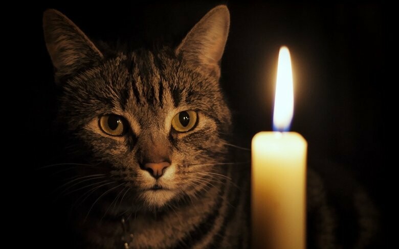  ������ ������ ���� ������� ��������� ����� ������ 