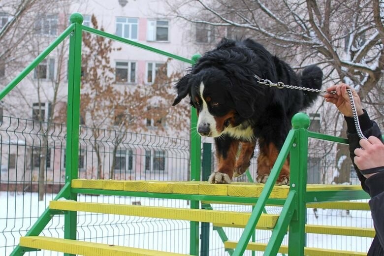  ������ ������ ������� �������� ������ ���������� ����� 