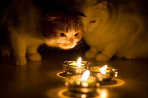 ����: 056.ua