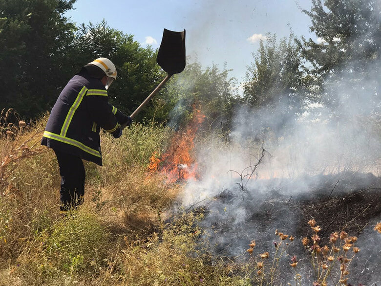  �������� ������ ����������� ���������������� ����� �������� ������� 