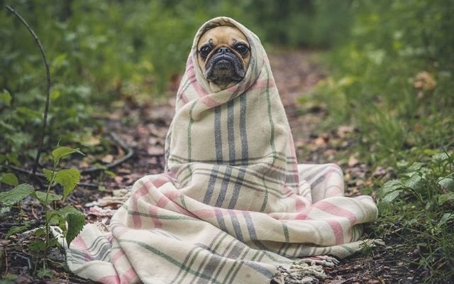  ��������� ����� ����������� ������������� ��������� ������� 