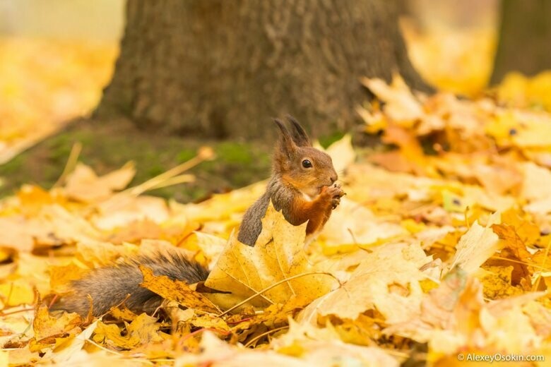  ������ ����� ��������� ������ ������� 