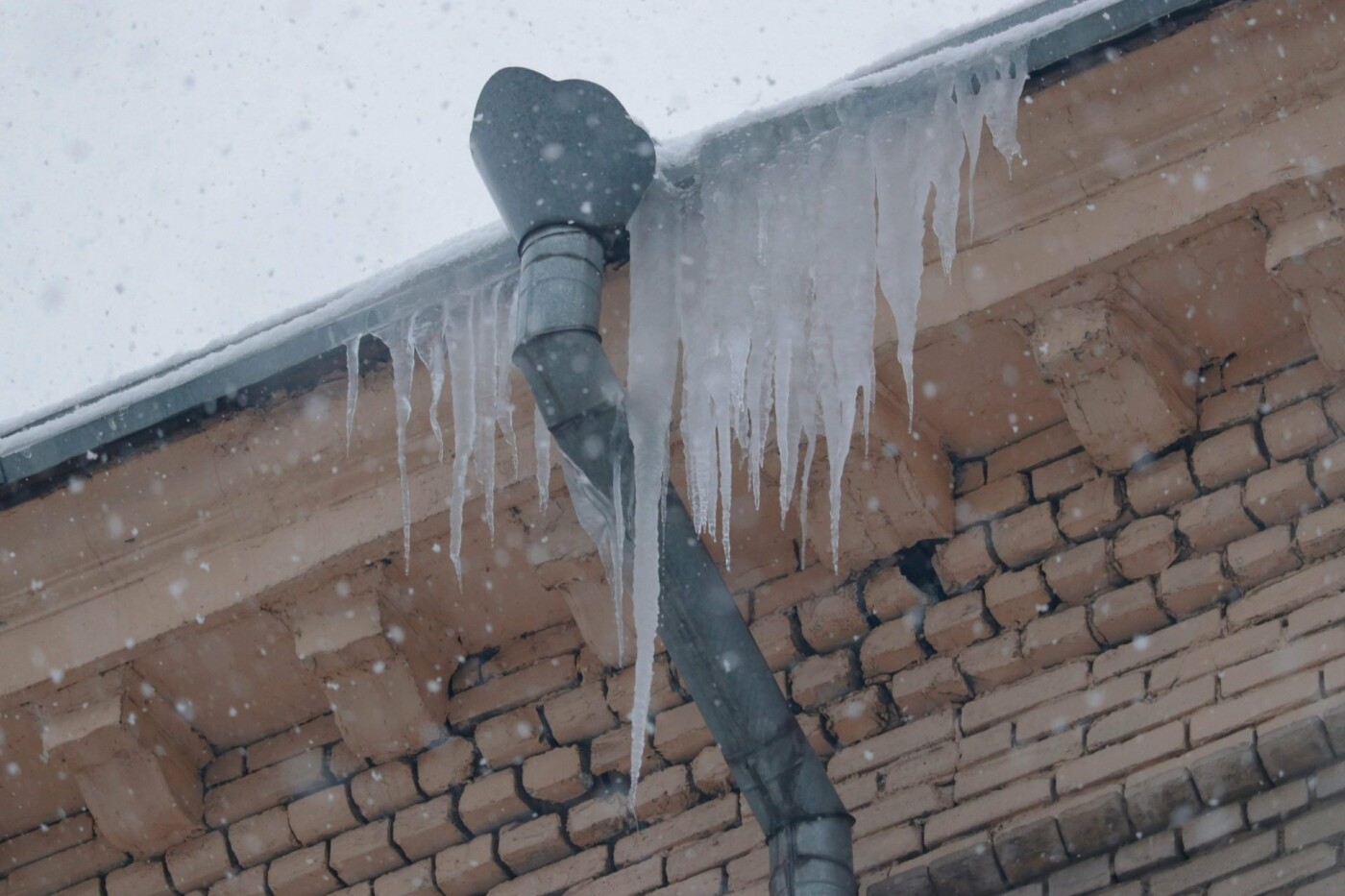  ������ ������ ������� ���� �������� ���������� ���� 